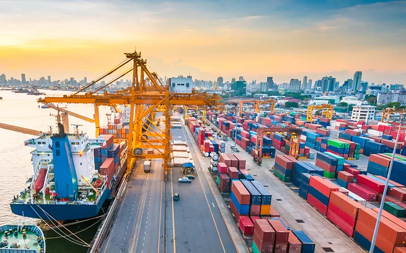 Using logistics as a lifeline for local and worldwide success